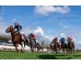  Carrera: P.Hipotur Monta: R.Sousa Caballo: Bertiz
